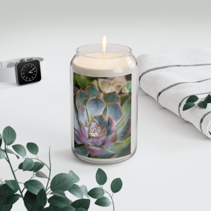 Stunning Succulent - Scented Candle, 13.75oz - Visiting This World