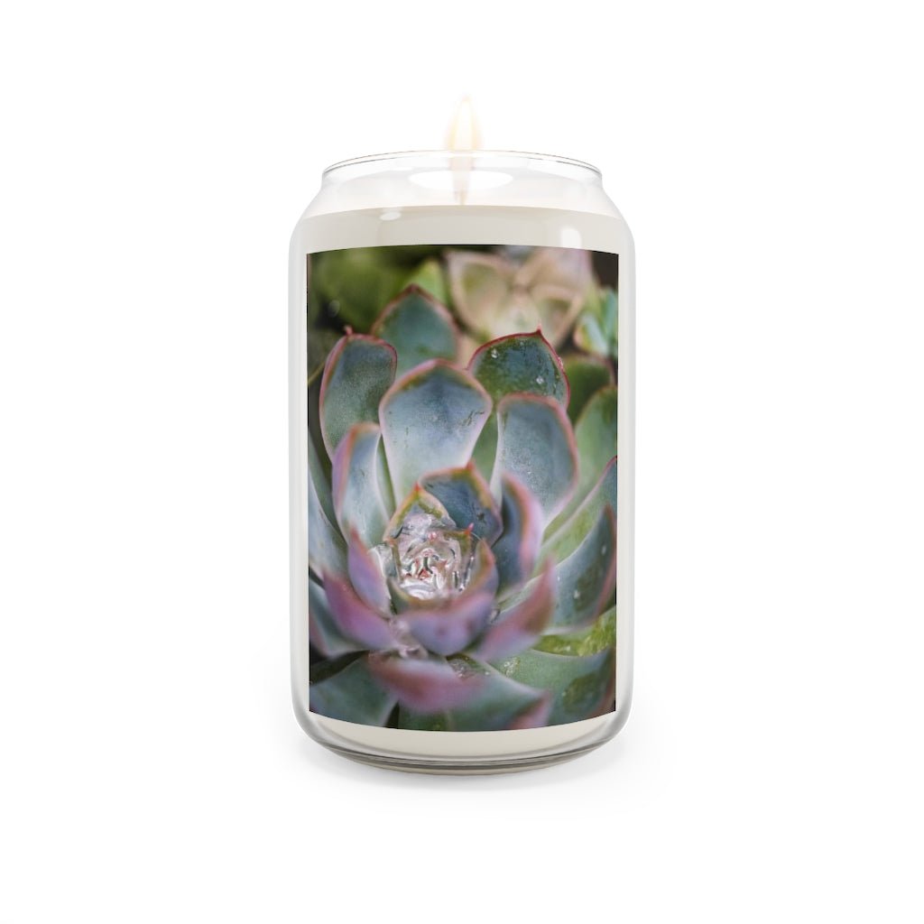 Stunning Succulent - Scented Candle, 13.75oz - Visiting This World