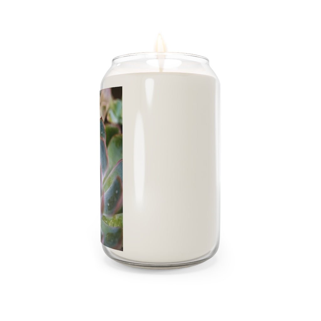 Stunning Succulent - Scented Candle, 13.75oz - Visiting This World