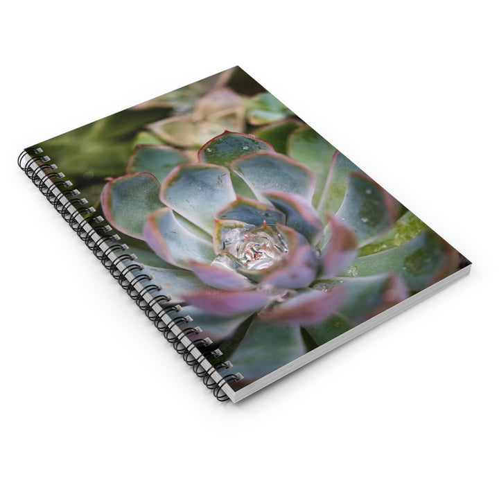 Stunning Succulent - Spiral Ruled Line Notebook - Visiting This World