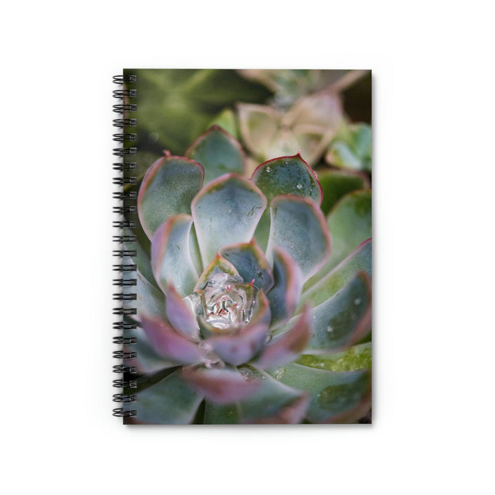 Stunning Succulent - Spiral Ruled Line Notebook - Visiting This World