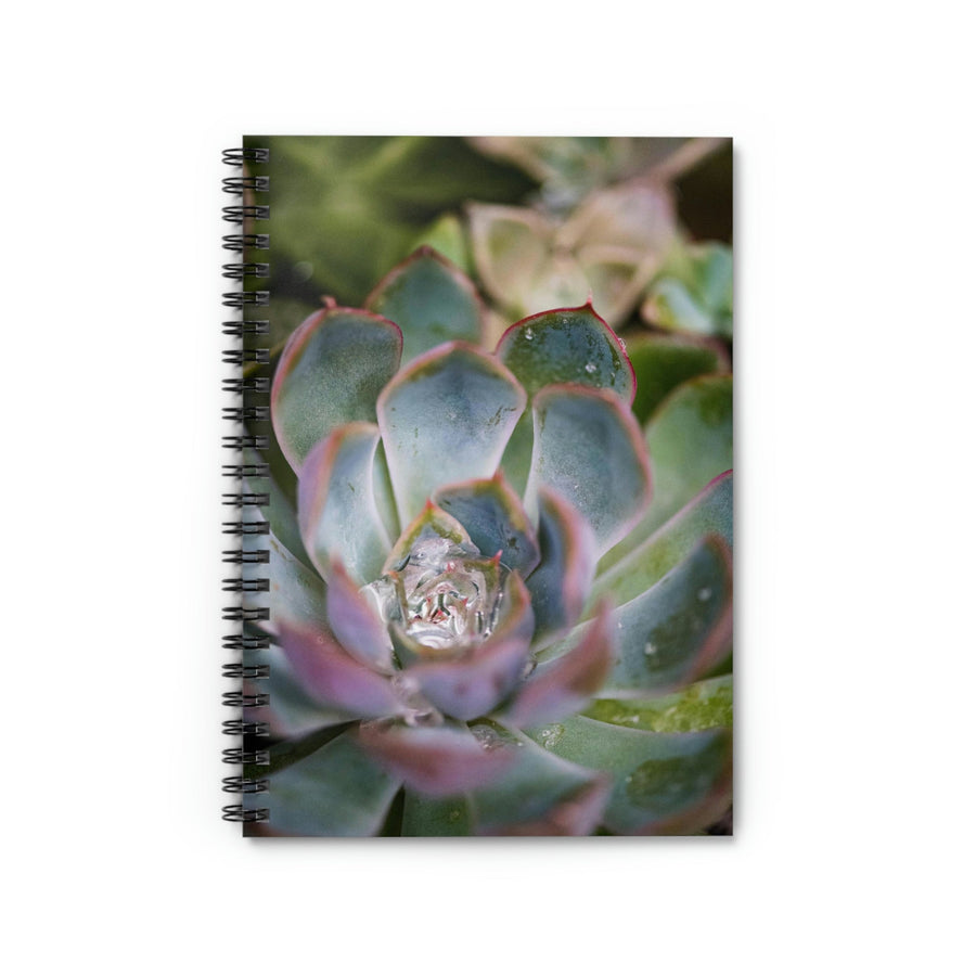 Stunning Succulent - Spiral Ruled Line Notebook - Visiting This World