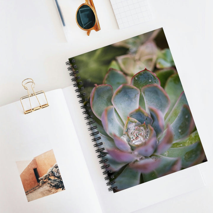 Stunning Succulent - Spiral Ruled Line Notebook - Visiting This World