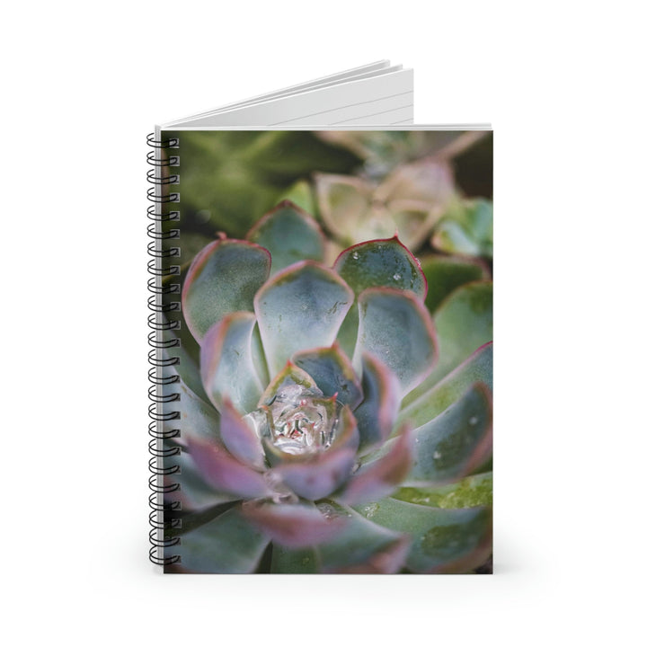 Stunning Succulent - Spiral Ruled Line Notebook - Visiting This World