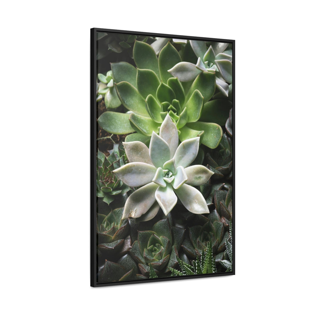 Succulent Array - Canvas with Frame - Visiting This World