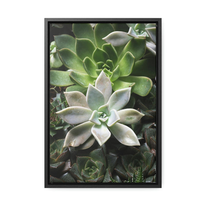 Succulent Array - Canvas with Frame - Visiting This World