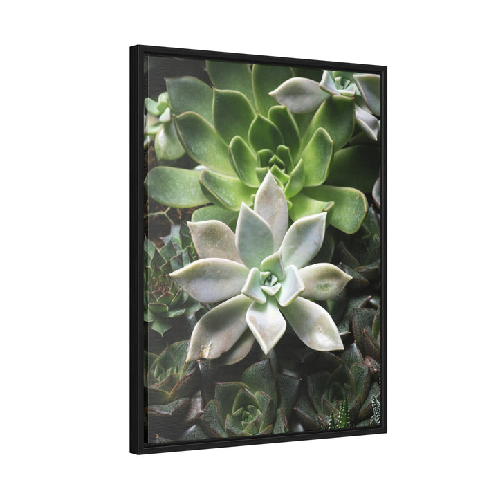 Succulent Array - Canvas with Frame - Visiting This World