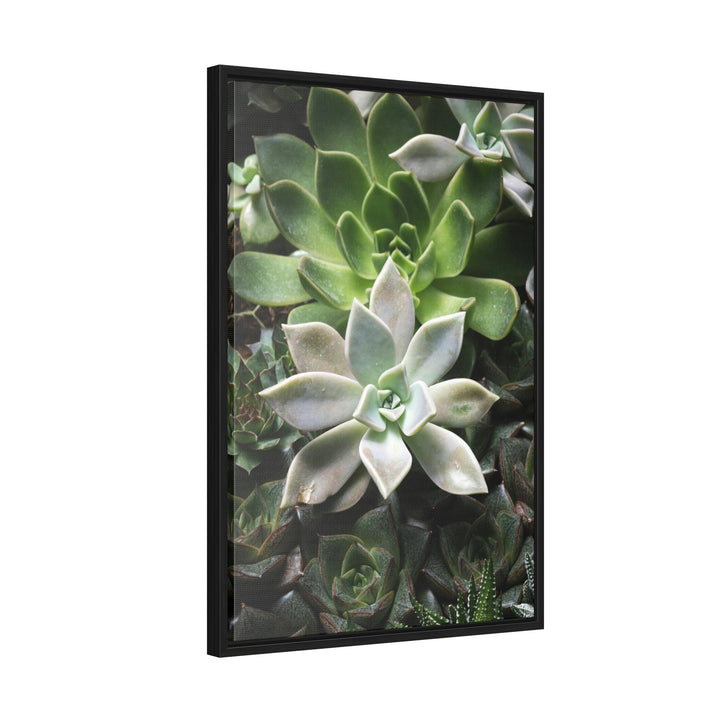 Succulent Array - Canvas with Frame - Visiting This World