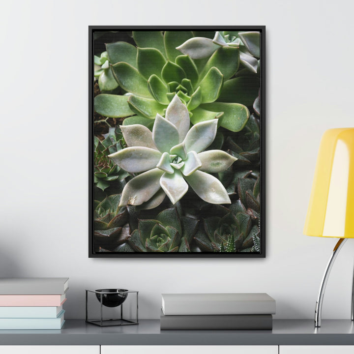 Succulent Array - Canvas with Frame - Visiting This World