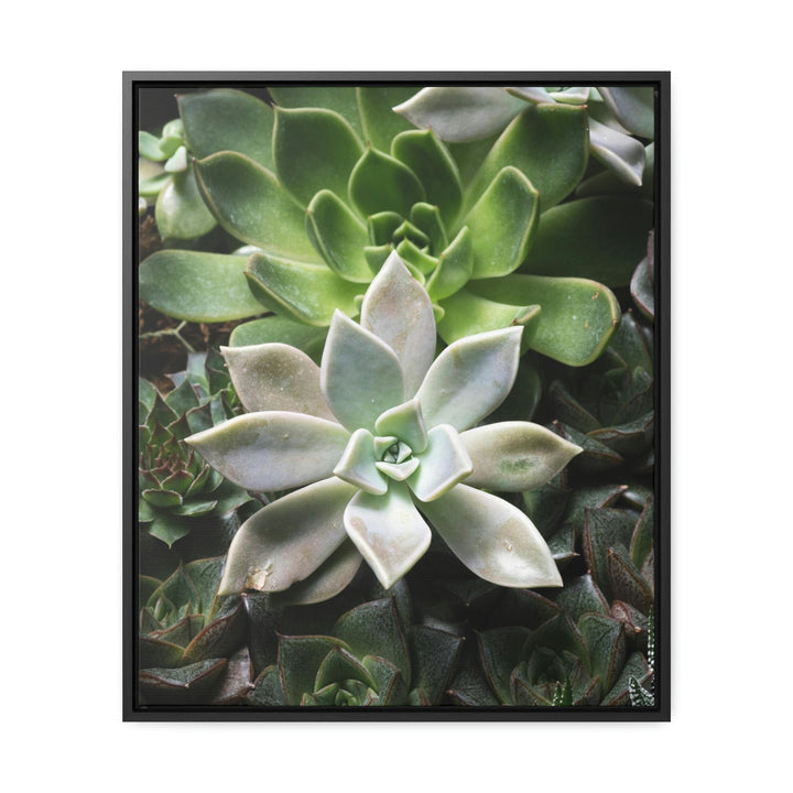 Succulent Array - Canvas with Frame - Visiting This World