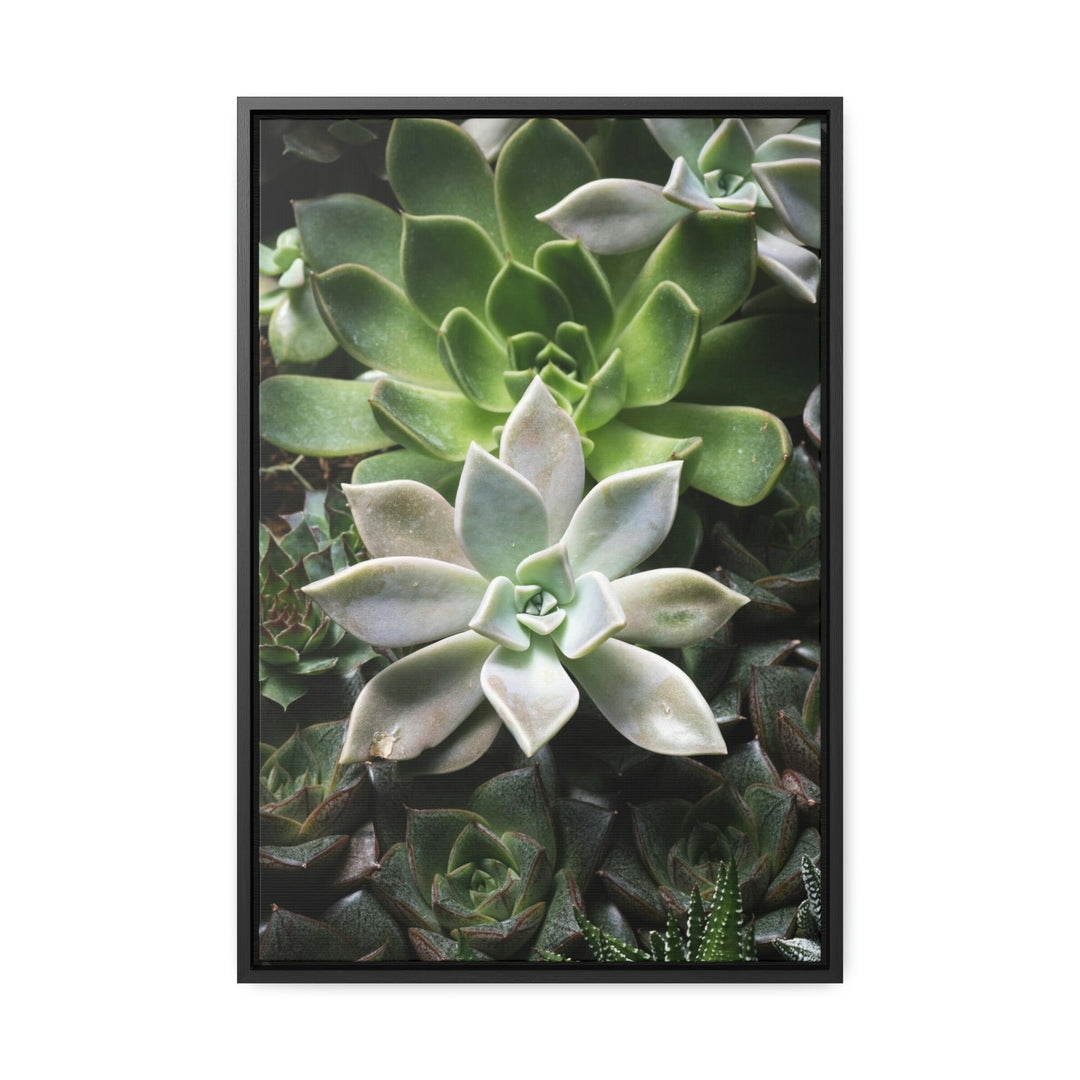 Succulent Array - Canvas with Frame - Visiting This World