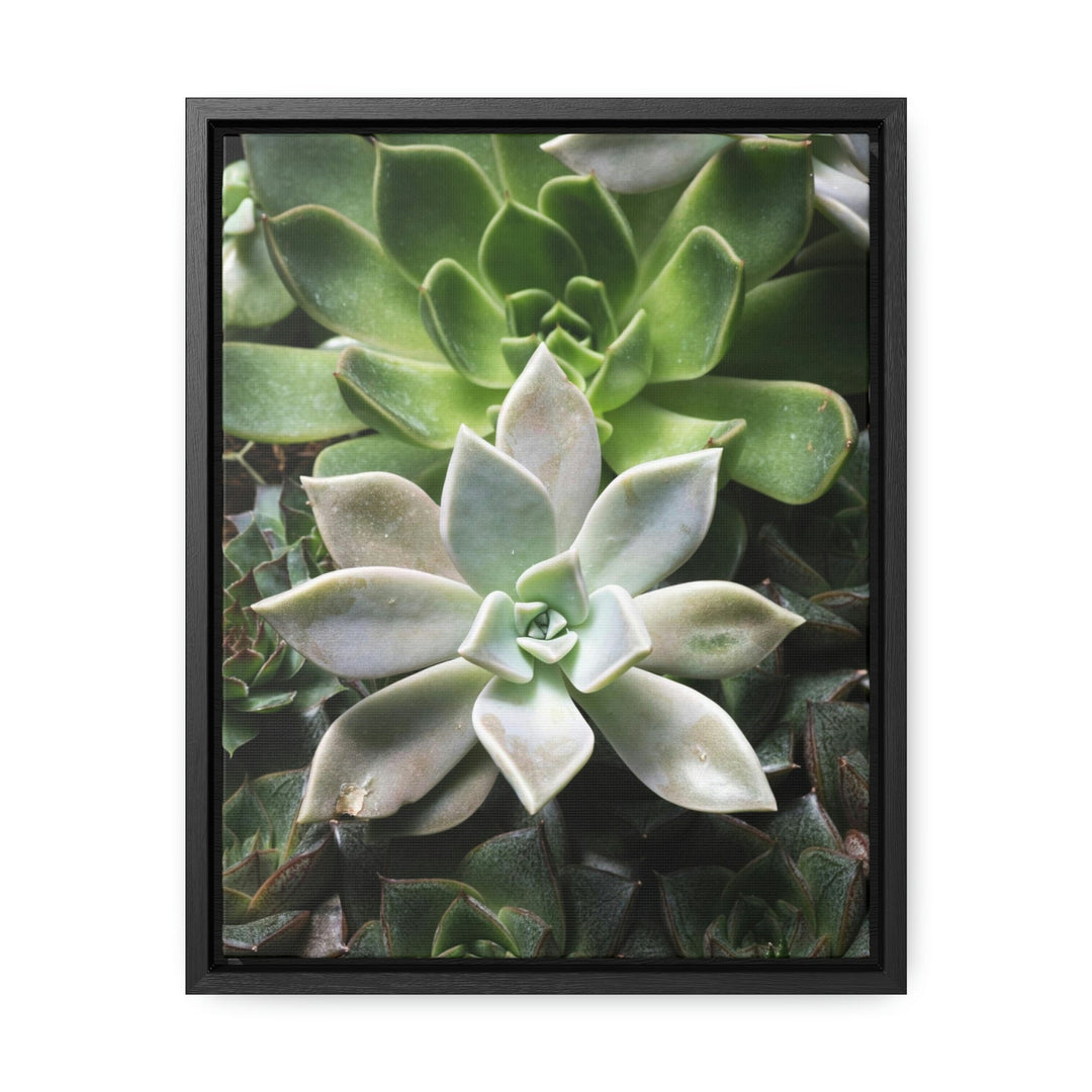 Succulent Array - Canvas with Frame - Visiting This World