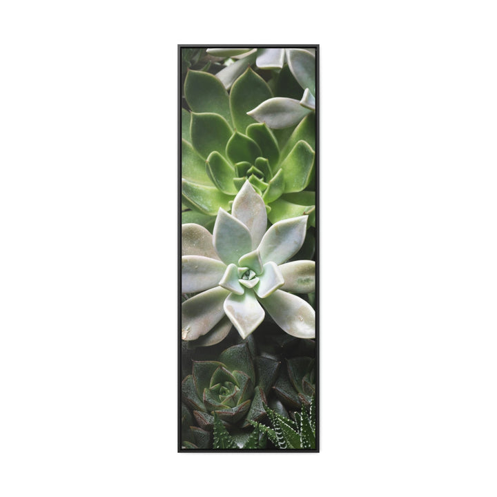 Succulent Array - Canvas with Frame - Visiting This World