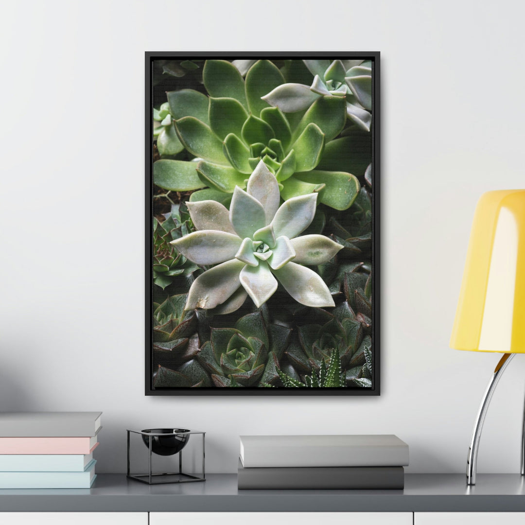 Succulent Array - Canvas with Frame - Visiting This World