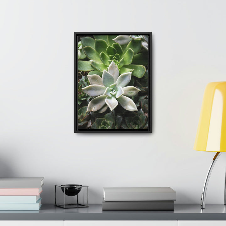 Succulent Array - Canvas with Frame - Visiting This World