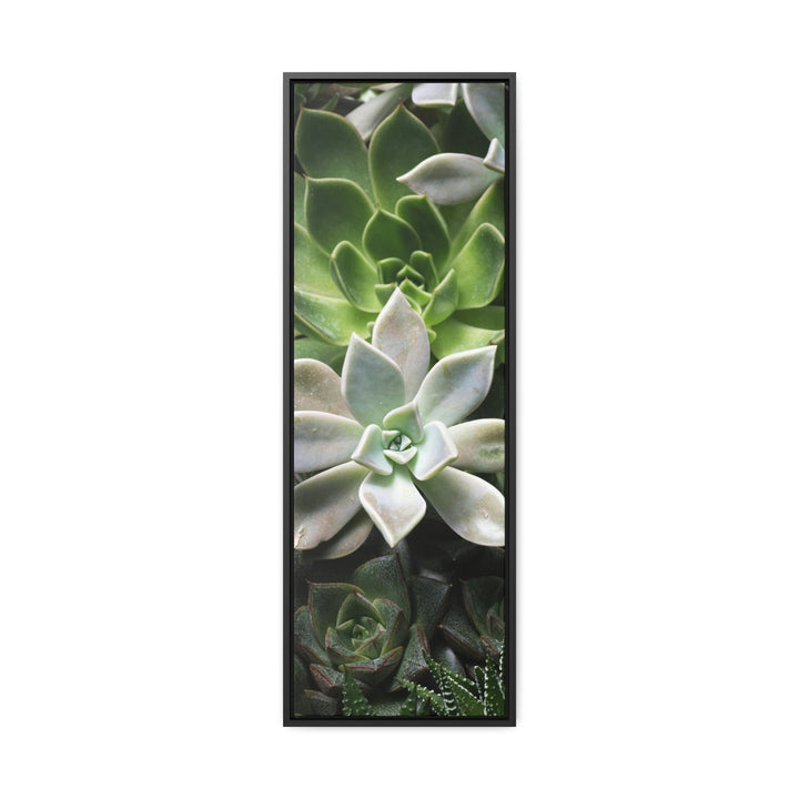 Succulent Array - Canvas with Frame - Visiting This World