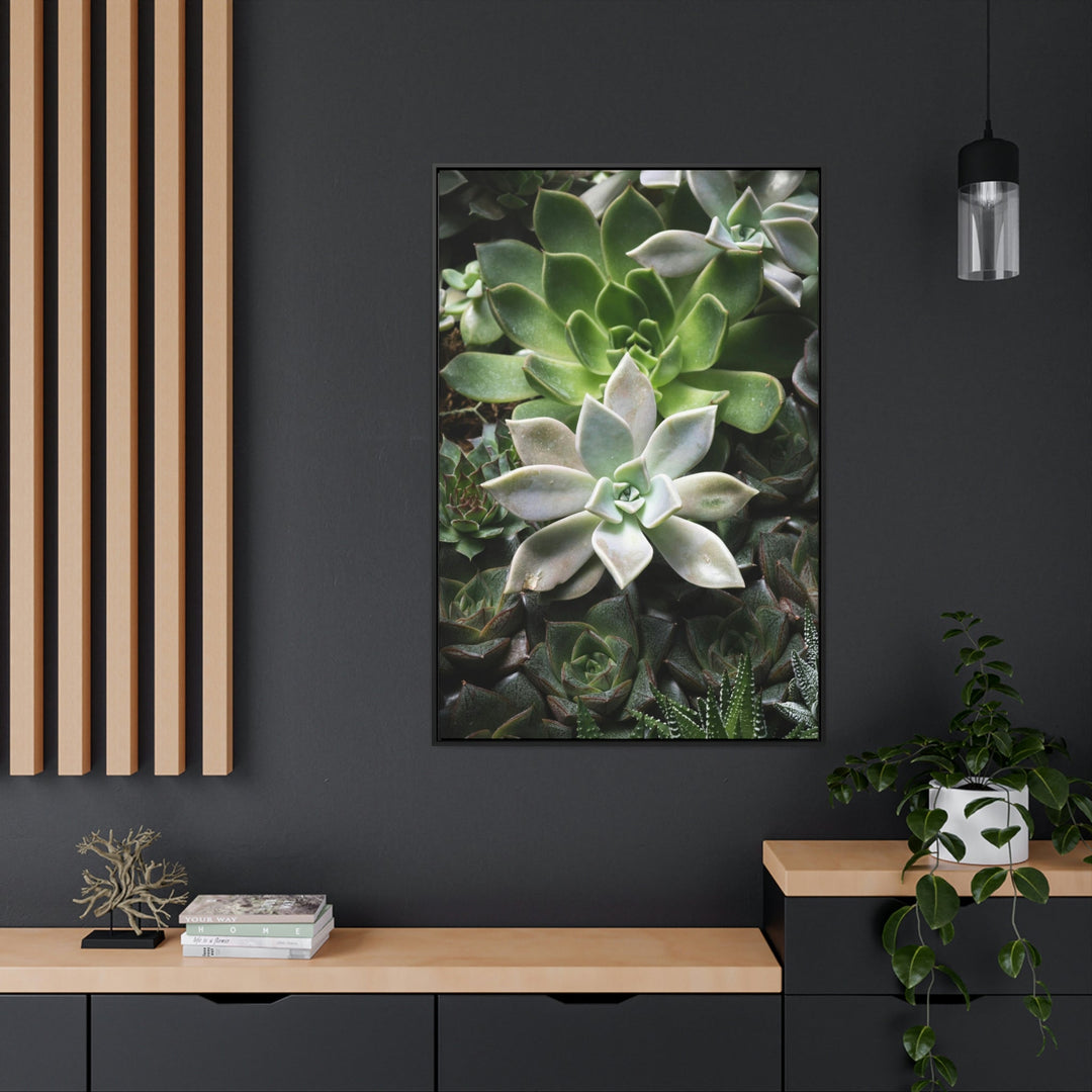 Succulent Array - Canvas with Frame - Visiting This World