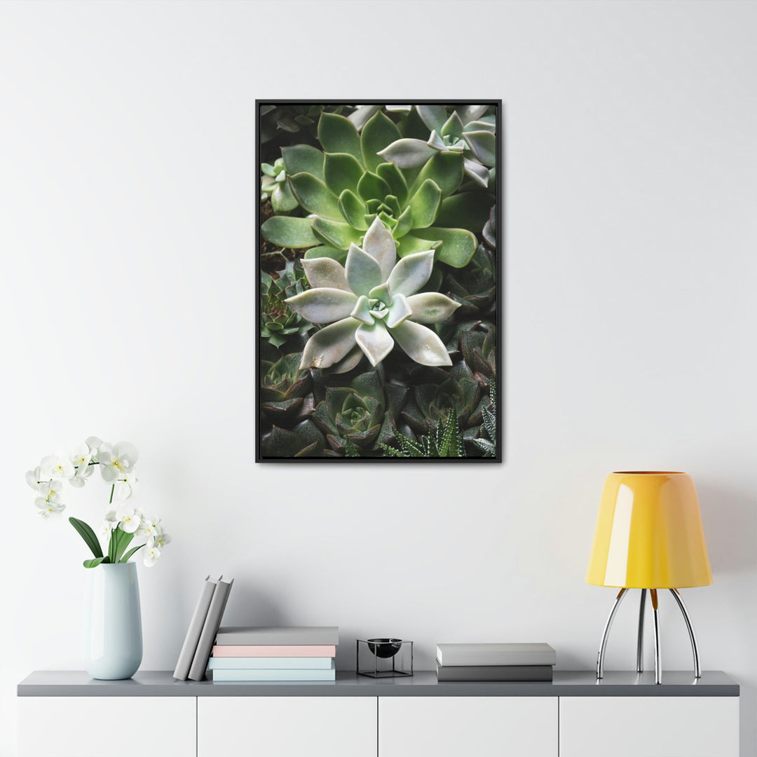 Succulent Array - Canvas with Frame - Visiting This World