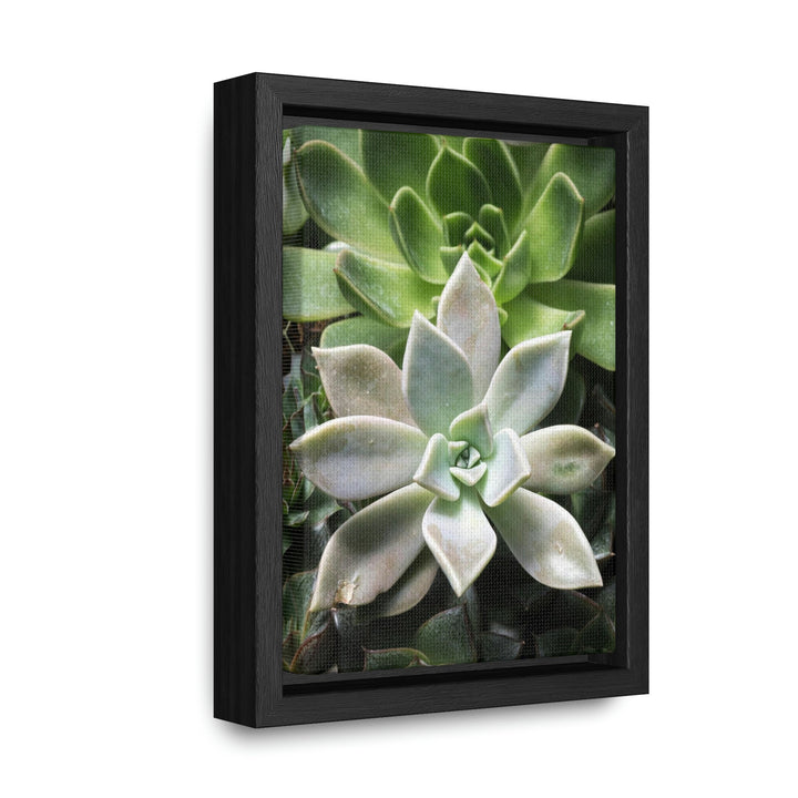 Succulent Array - Canvas with Frame - Visiting This World