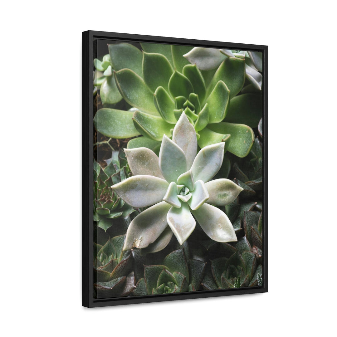 Succulent Array - Canvas with Frame - Visiting This World