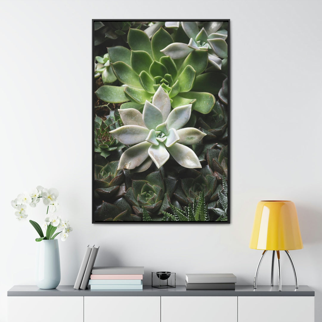 Succulent Array - Canvas with Frame - Visiting This World