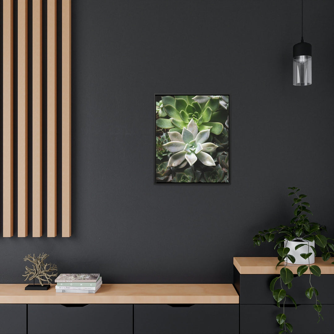 Succulent Array - Canvas with Frame - Visiting This World