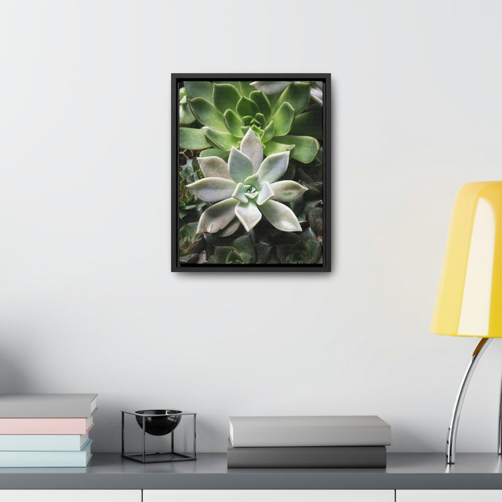 Succulent Array - Canvas with Frame - Visiting This World