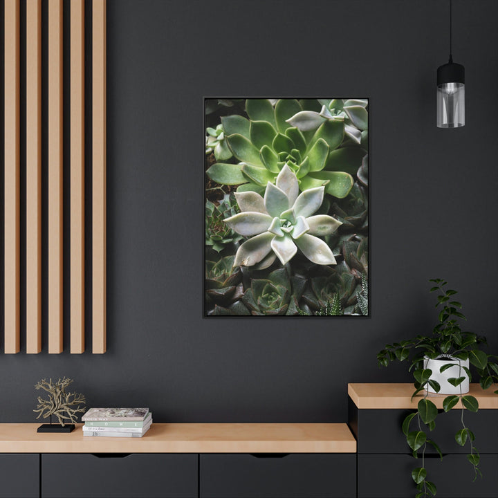 Succulent Array - Canvas with Frame - Visiting This World