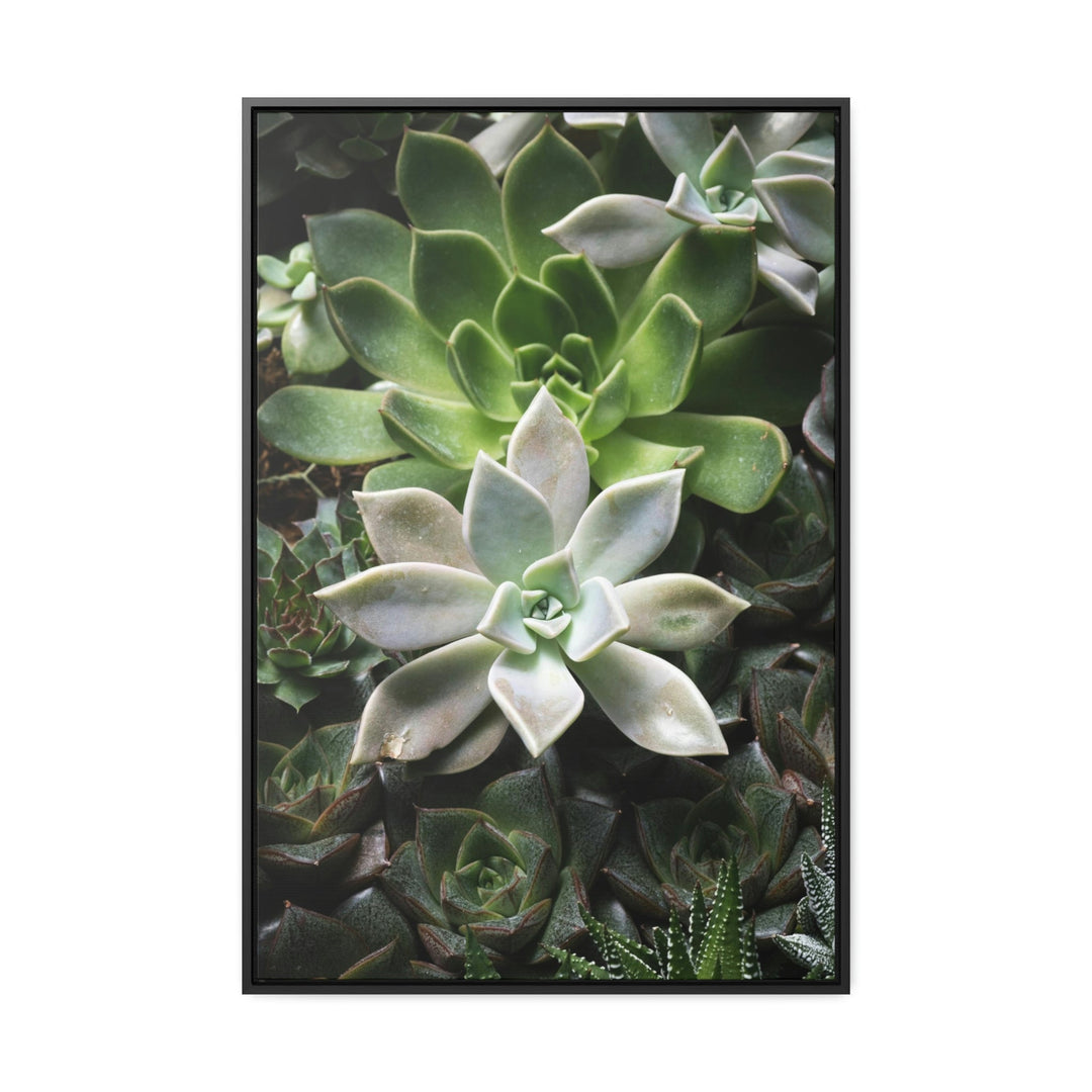 Succulent Array - Canvas with Frame - Visiting This World