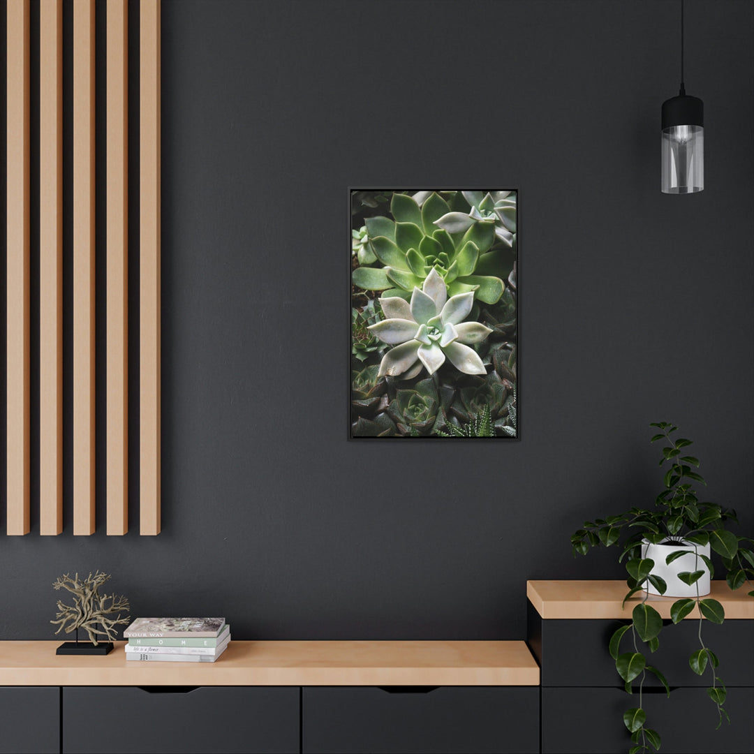 Succulent Array - Canvas with Frame - Visiting This World