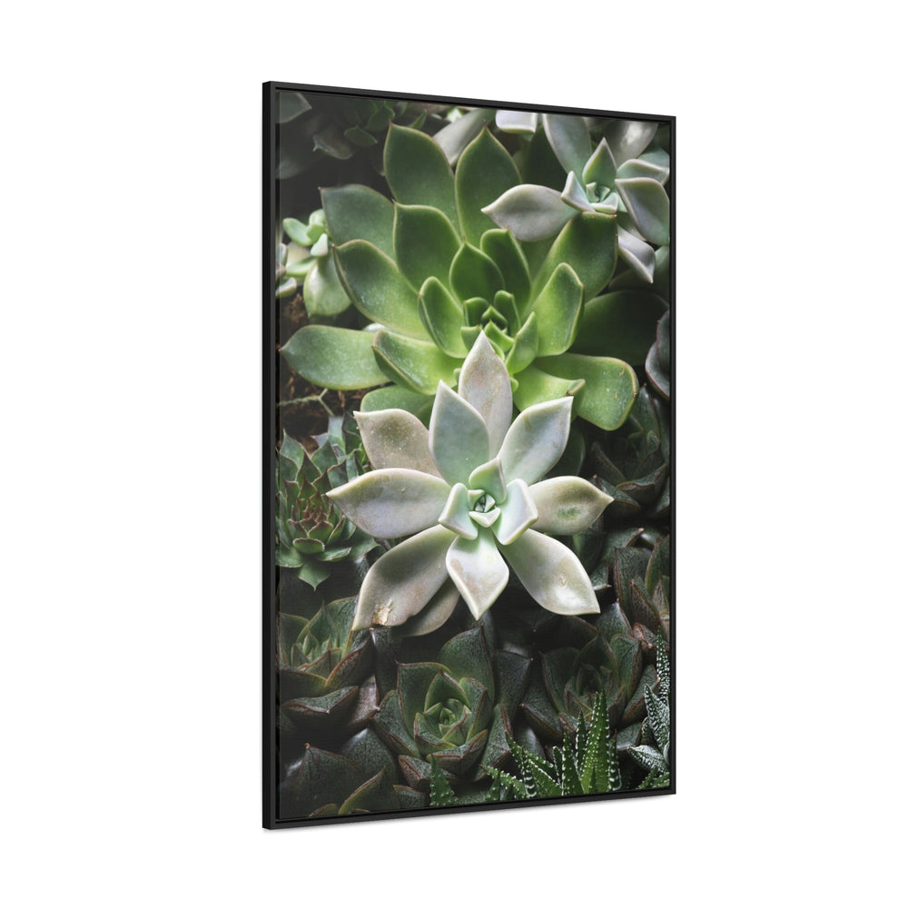 Succulent Array - Canvas with Frame - Visiting This World