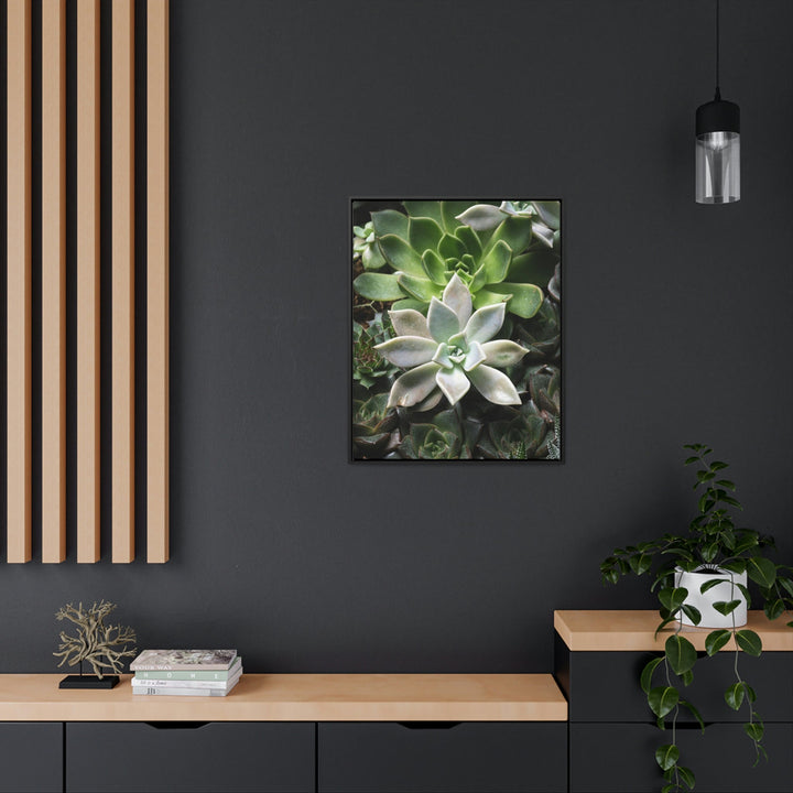 Succulent Array - Canvas with Frame - Visiting This World