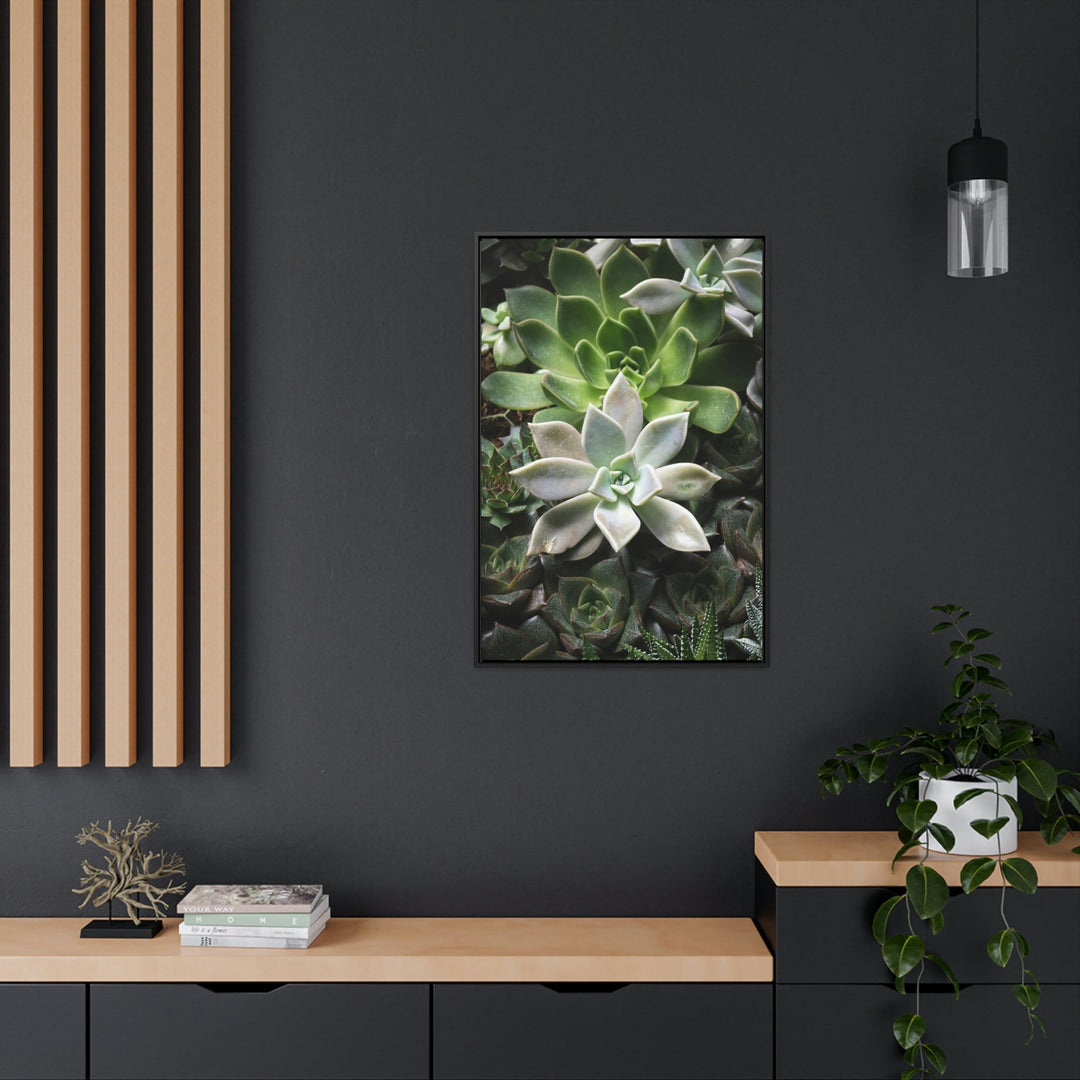 Succulent Array - Canvas with Frame - Visiting This World