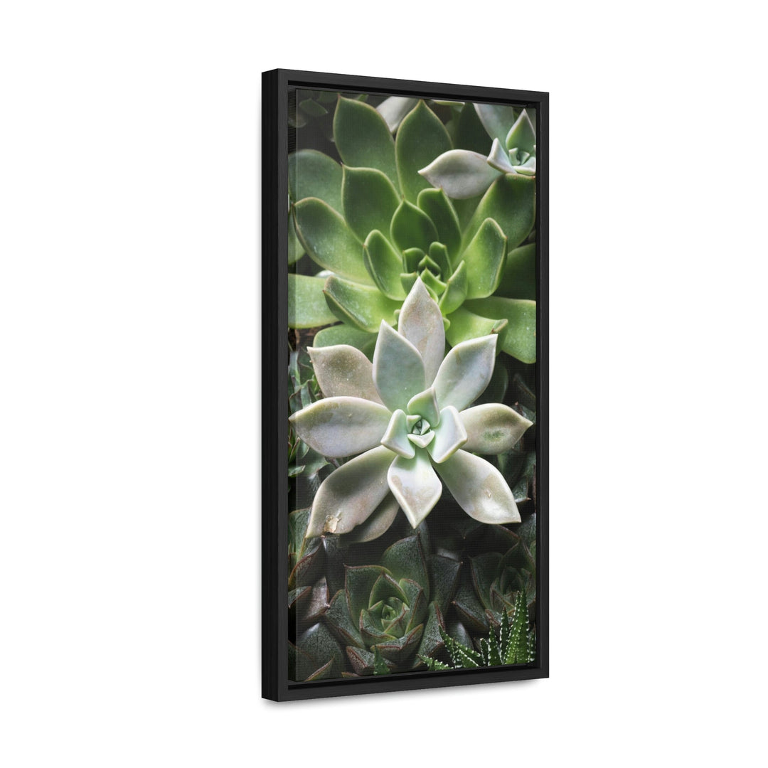 Succulent Array - Canvas with Frame - Visiting This World