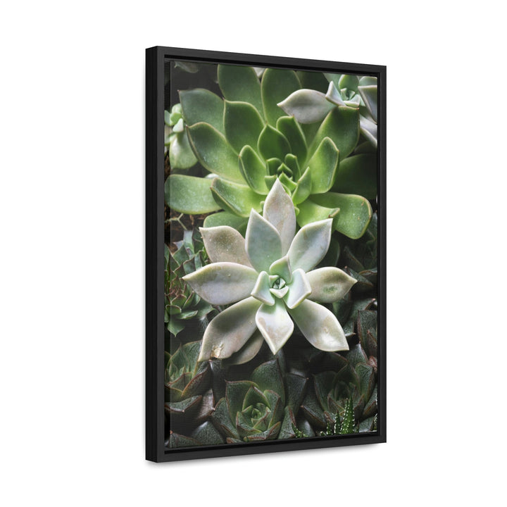 Succulent Array - Canvas with Frame - Visiting This World