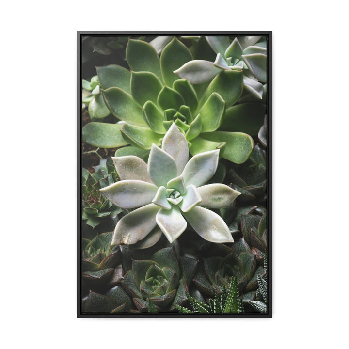 Succulent Array - Canvas with Frame - Visiting This World