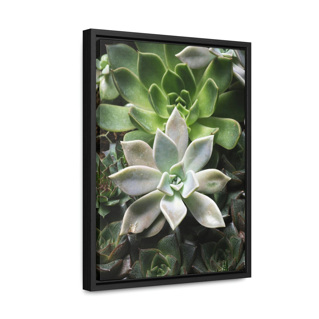 Succulent Array - Canvas with Frame - Visiting This World