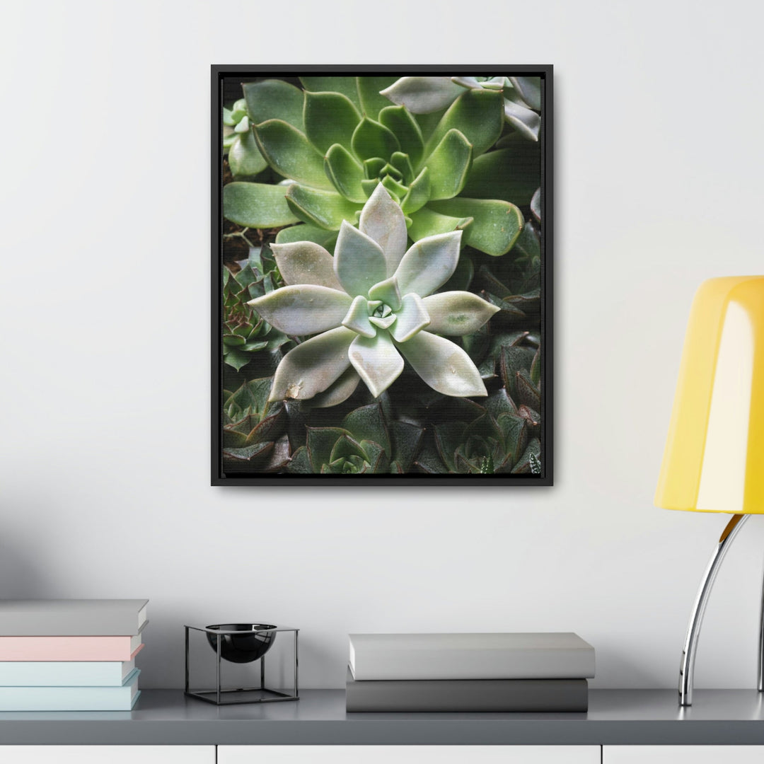 Succulent Array - Canvas with Frame - Visiting This World