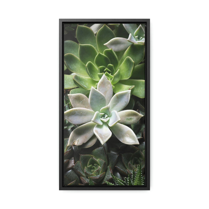 Succulent Array - Canvas with Frame - Visiting This World