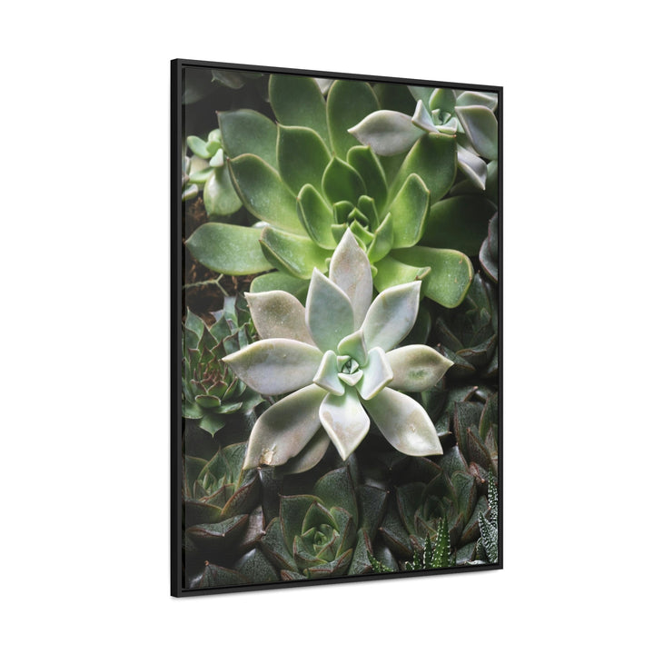 Succulent Array - Canvas with Frame - Visiting This World