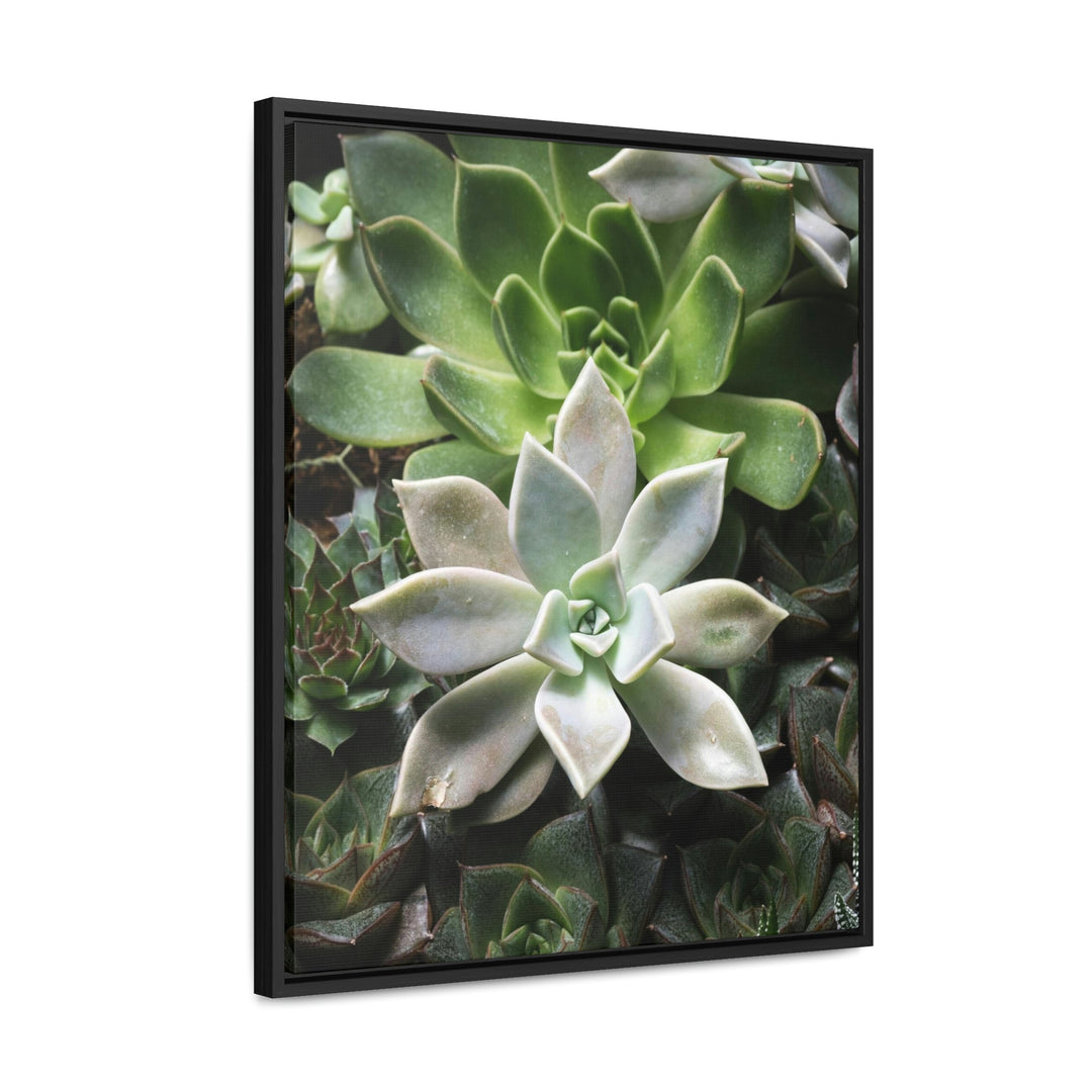 Succulent Array - Canvas with Frame - Visiting This World