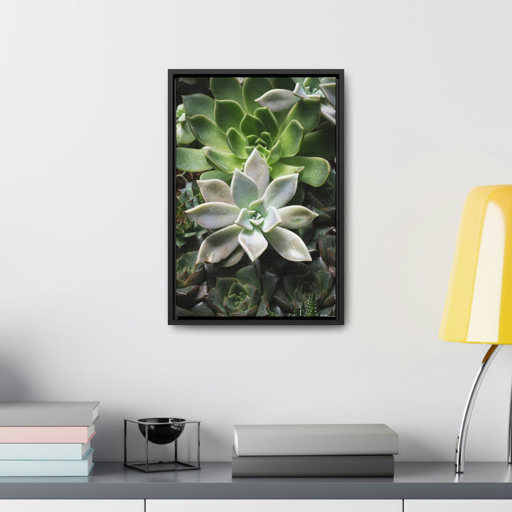 Succulent Array - Canvas with Frame - Visiting This World