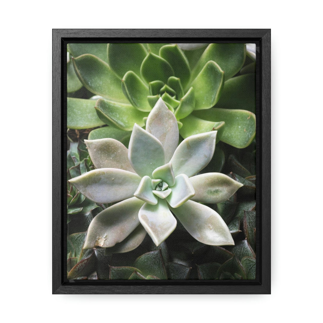 Succulent Array - Canvas with Frame - Visiting This World