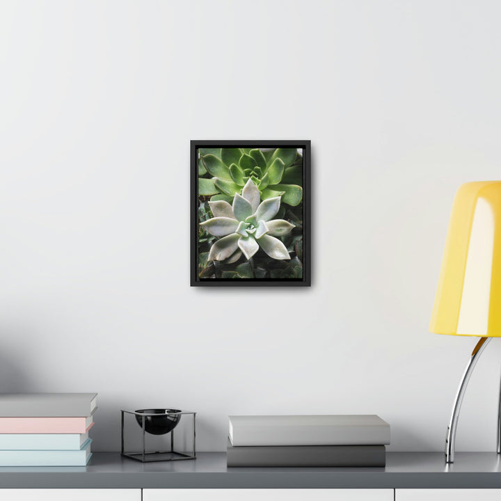 Succulent Array - Canvas with Frame - Visiting This World