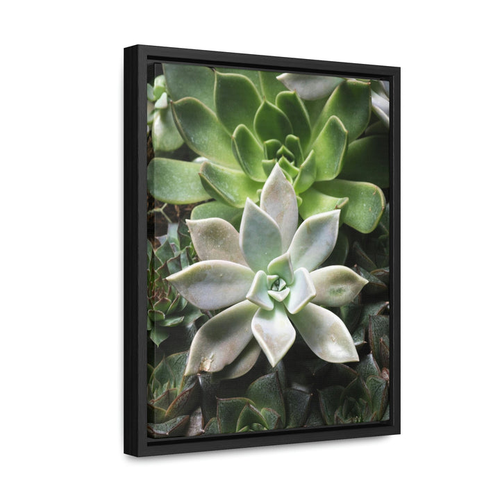 Succulent Array - Canvas with Frame - Visiting This World