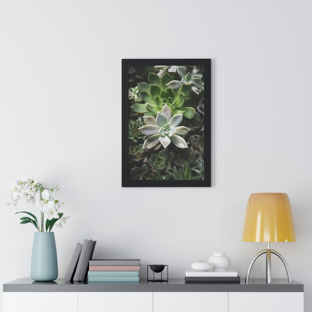 Succulent Array - Framed Print - Visiting This World