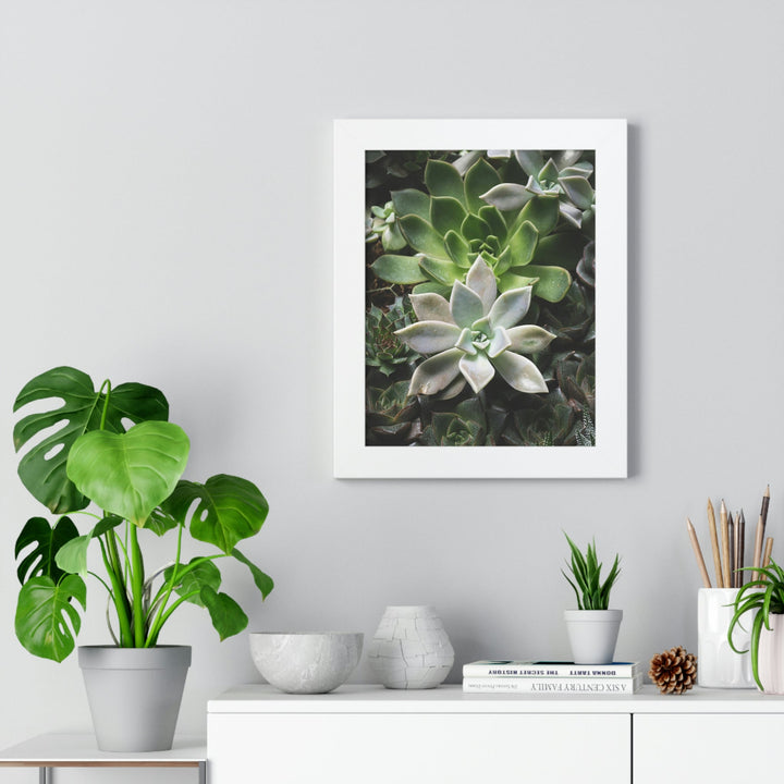 Succulent Array - Framed Print - Visiting This World