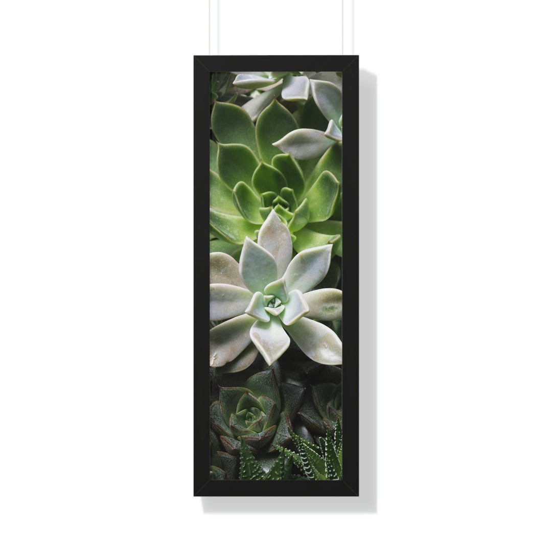 Succulent Array - Framed Print - Visiting This World