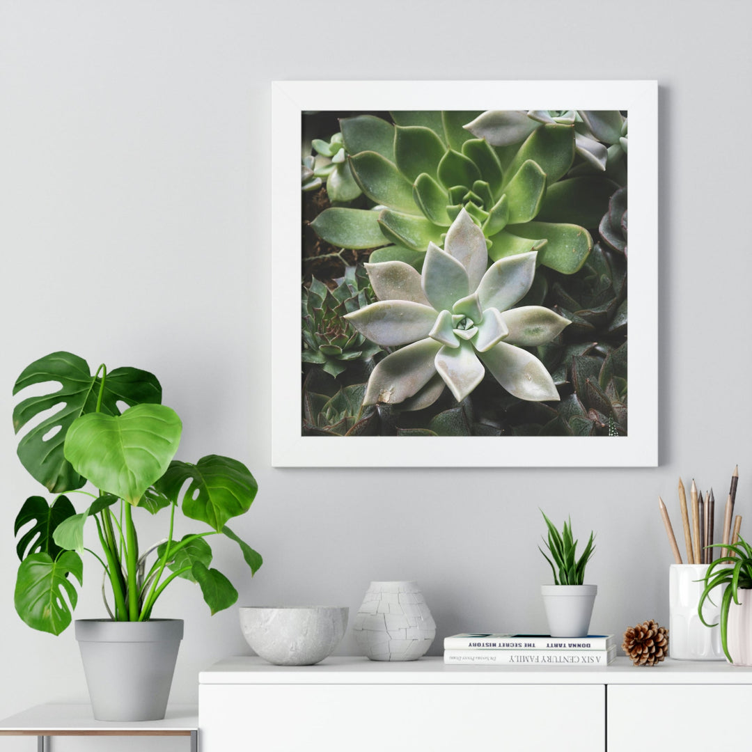 Succulent Array - Framed Print - Visiting This World