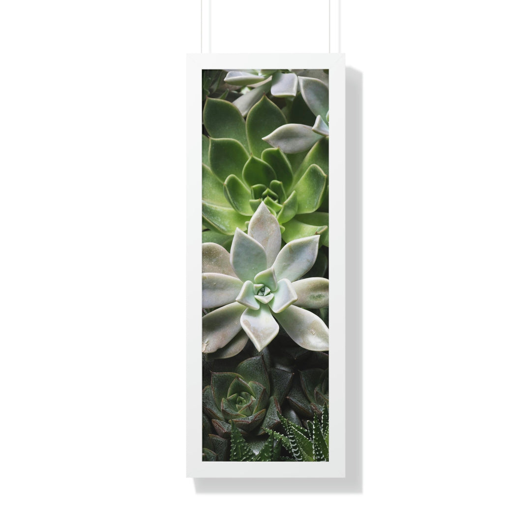 Succulent Array - Framed Print - Visiting This World